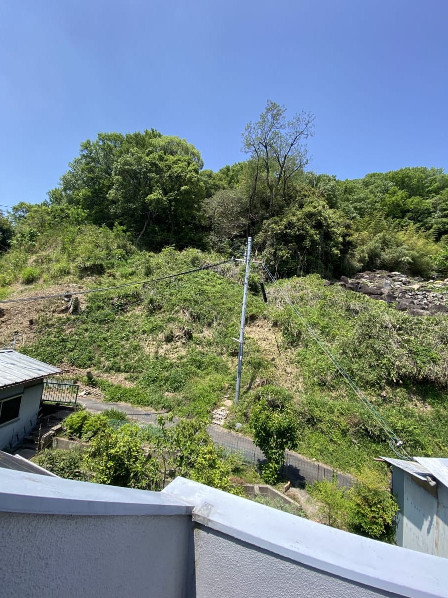 (現地からの眺望) (現地からの眺望)