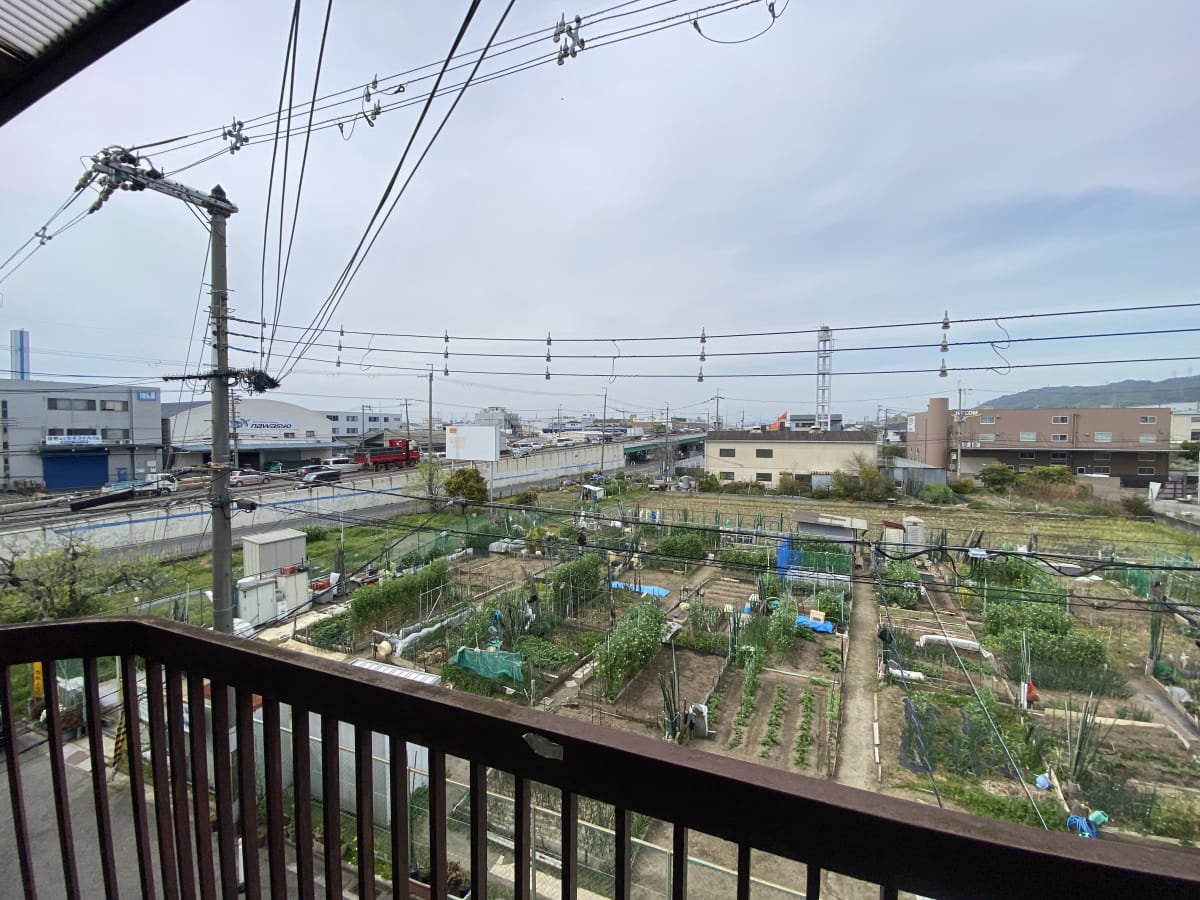 (現地からの眺望) (現地からの眺望)