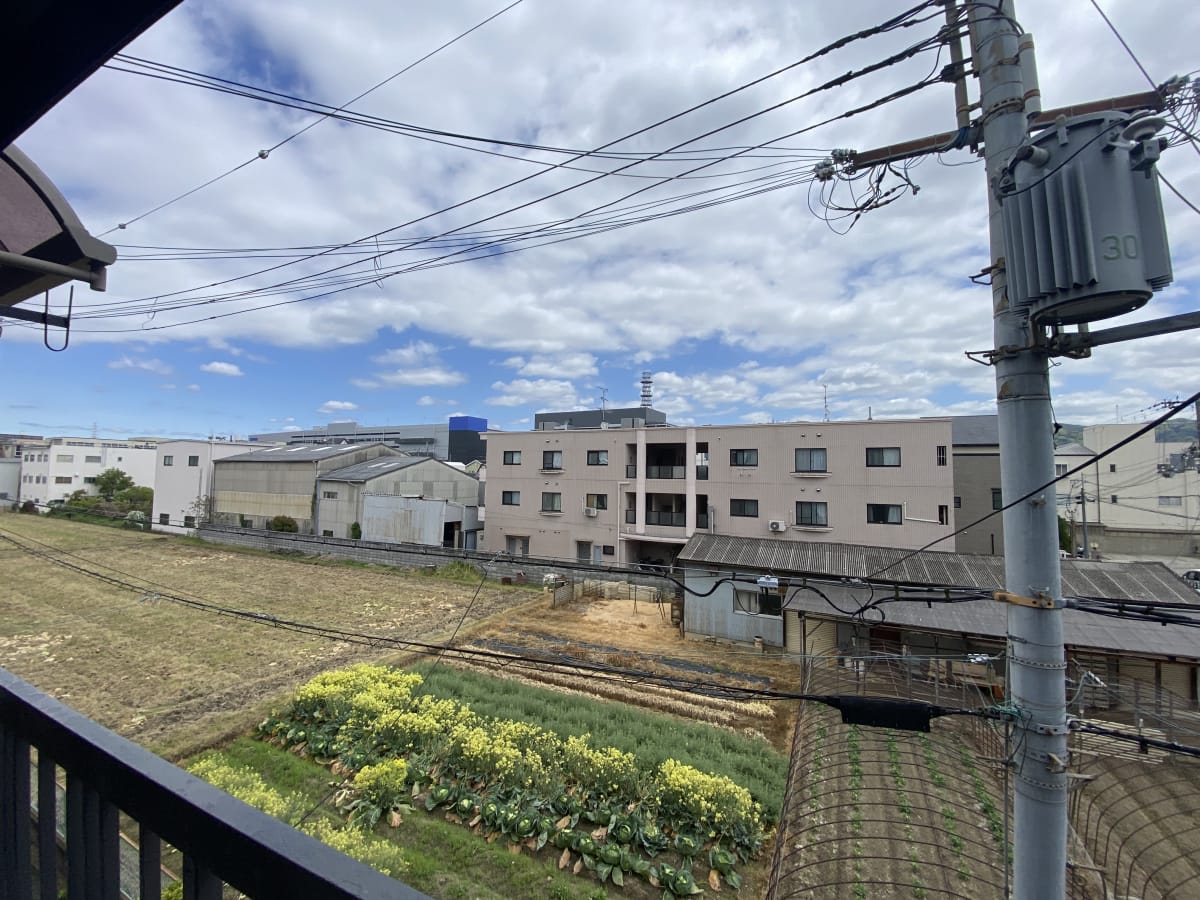 (現地からの眺望) (現地からの眺望)