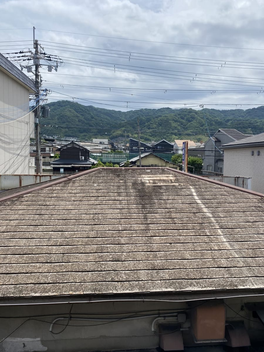 (現地からの眺望) (現地からの眺望)