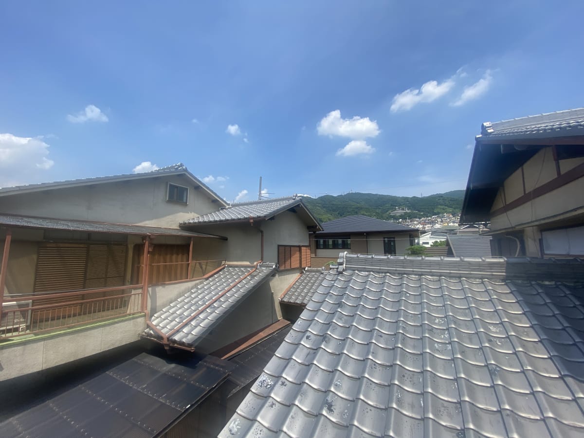 (現地からの眺望) (現地からの眺望)