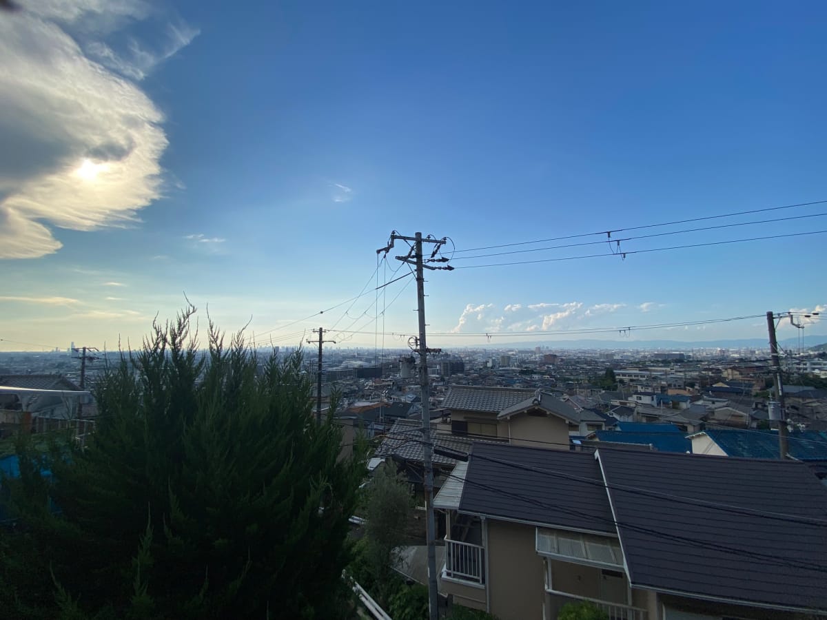 (現地からの眺望) (現地からの眺望)