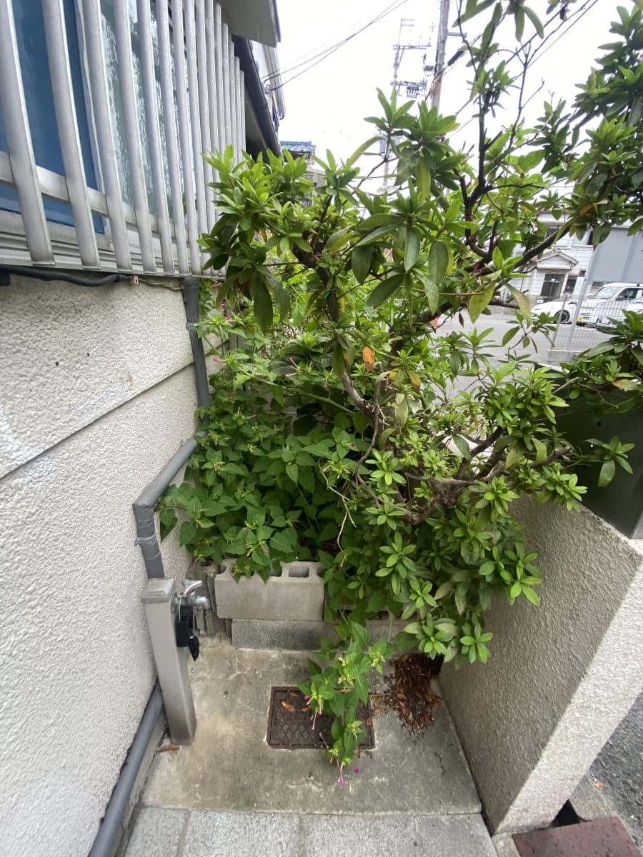 共用部分 共用部分