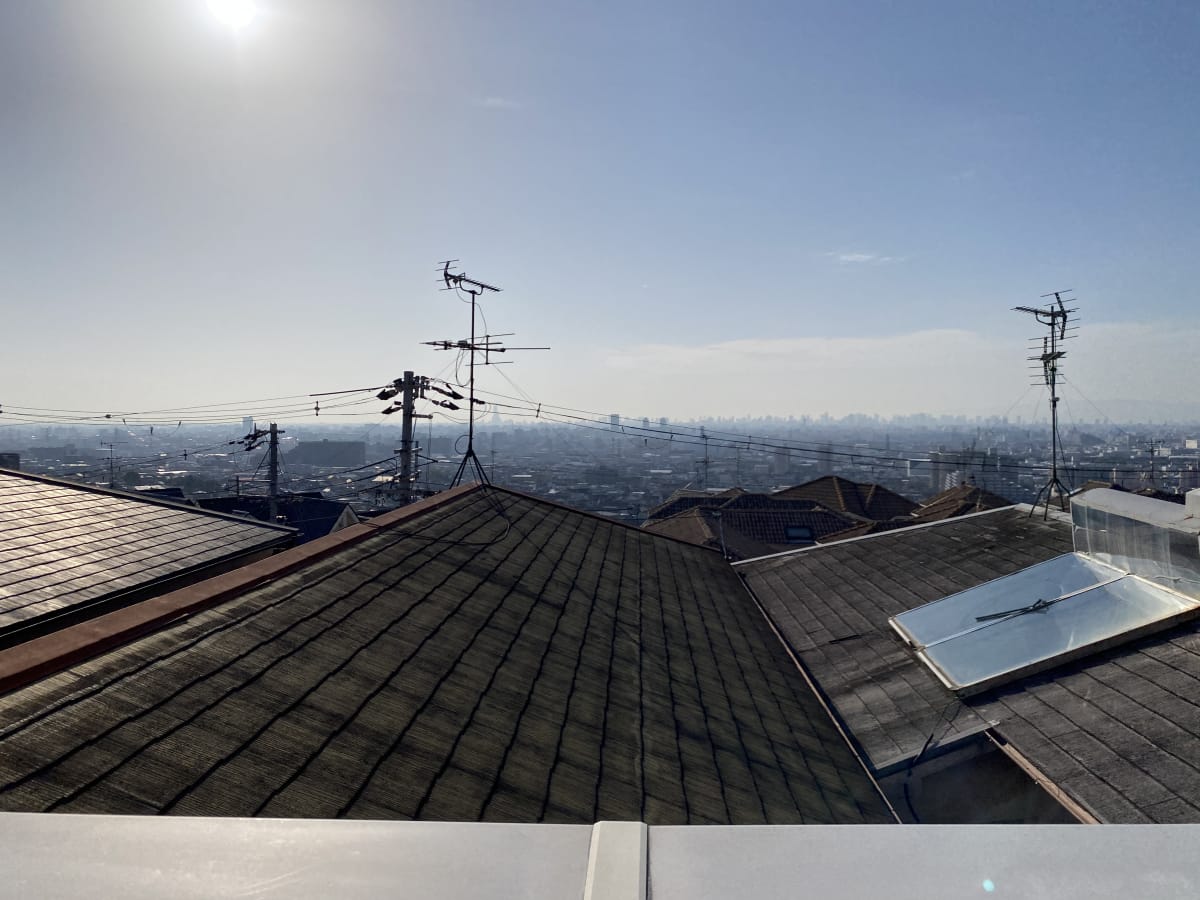 (現地からの眺望) (現地からの眺望)