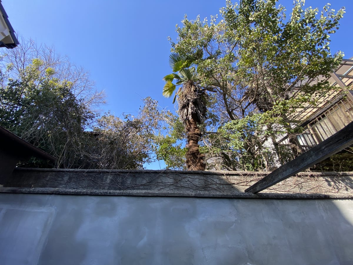 (現地からの眺望) (現地からの眺望)